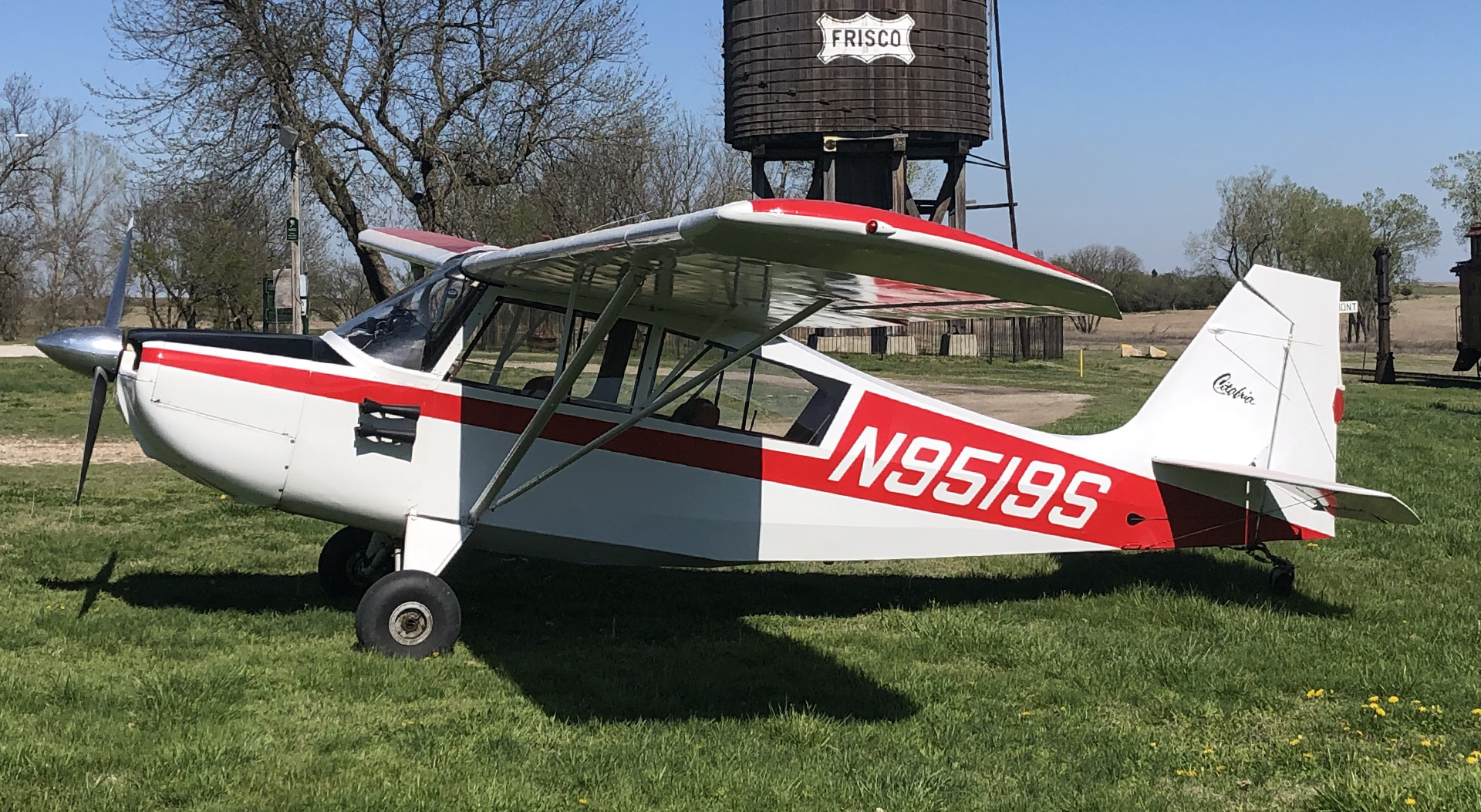 N9519S - Citabria